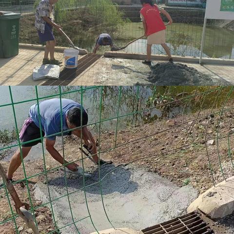 刁镇街道辛寨党建工作区一周工作简讯（7月24日-7月31日）