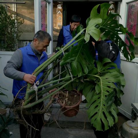 泉城路街道退役军人服务站开展爱心志愿服务活动