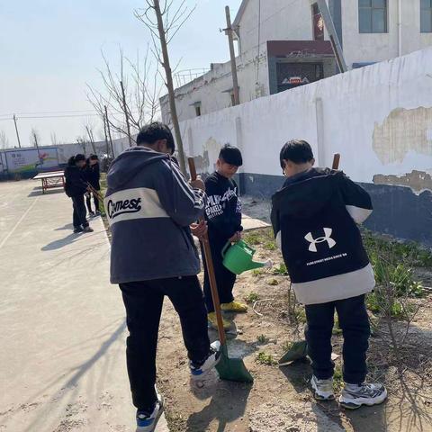 “植”此青绿，不负春光——高寨小学开展植树节系列活动