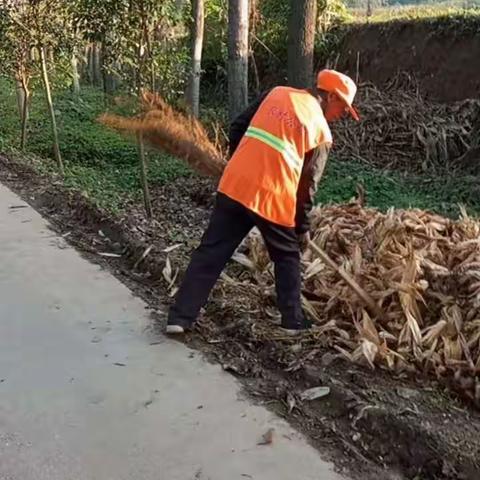 洛宁县赵村镇人居环境整治不放松