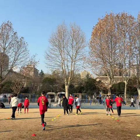暖阳映绿茵，少年竞风采——水滴体育省体训练营冬日足球节圆满落幕