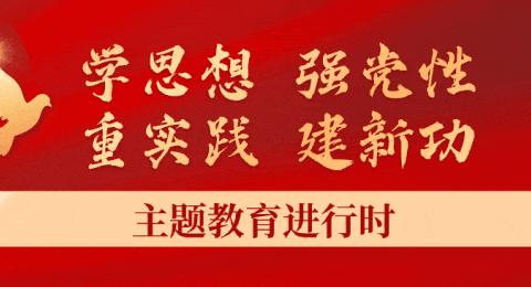 【主题教育进行时】“学思想 强党性 重实践 建新功”——岳普湖镇1村小学党支部学习贯彻习近平新时代中国特色社会主义思想主题教育