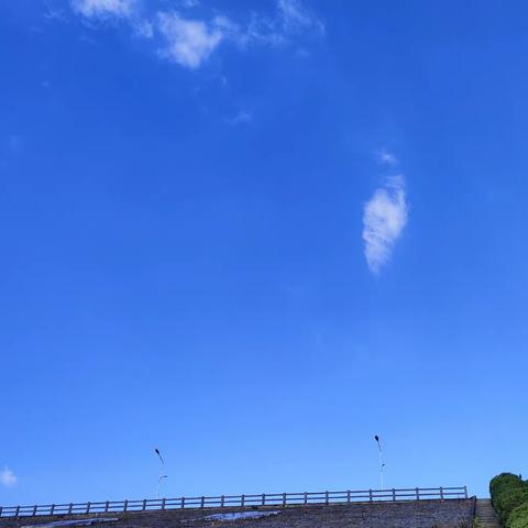 奇遇暖冬——芒市第四小学新阳二中队孔雀湖探秘之旅