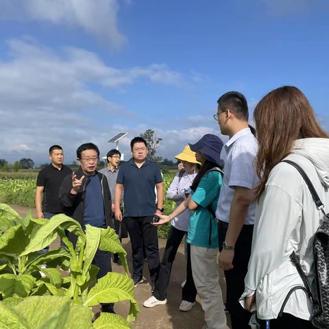 市烟办一周工作动态（8月28日至9月3日）