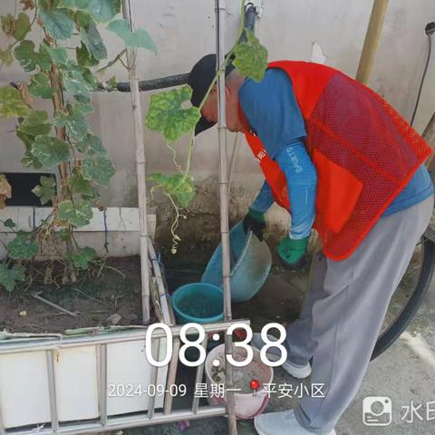 洛阳健清病媒生物防治有限公司