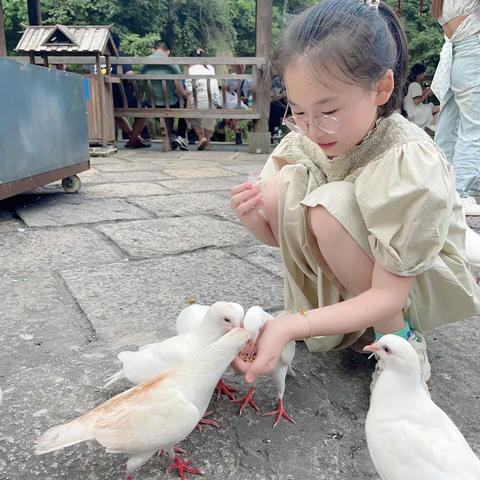 阳光小学暑假作业五(4)班金桢涵