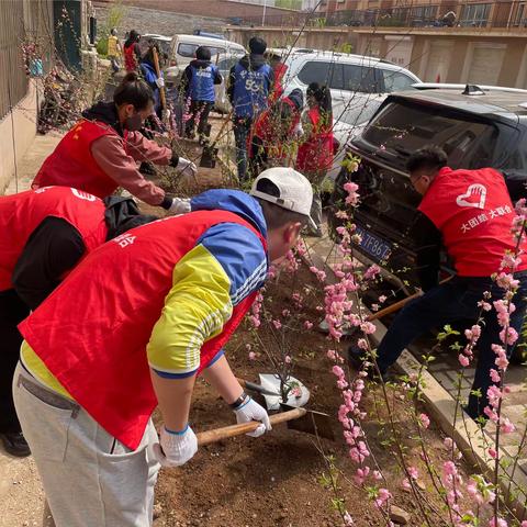 寰宇社区新时代文明实践站开展“文明实践我行动， ‘植’此青绿正当时”植树活动