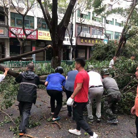 东湖社区防抗5号台风杜苏芮灾后巡查自救篇之三