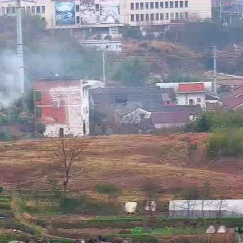 野外烧烤隐患大