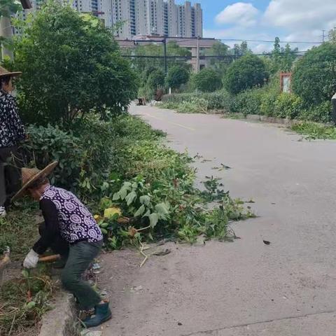 溪甘村十一环境整治：全民参与焕新乡村面貌