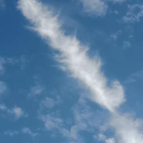 83班第十二小组假期劳动作业