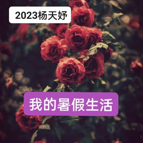 杨天妤224850