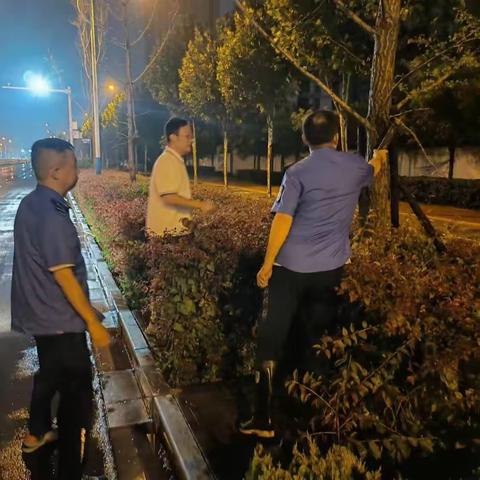 全力以赴   “汛”速行动