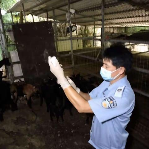 我为群众办实事/天涯区农业农村局动物防疫员下村工作记录