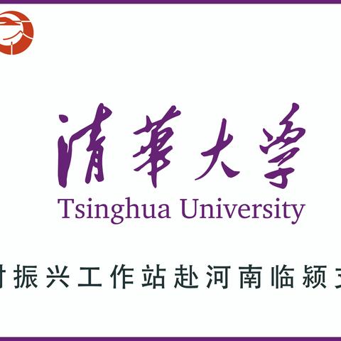 清华大学乡村振兴工作站在临颍县开展暑期实践活动