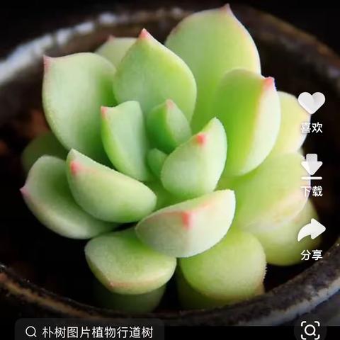 打疫苗