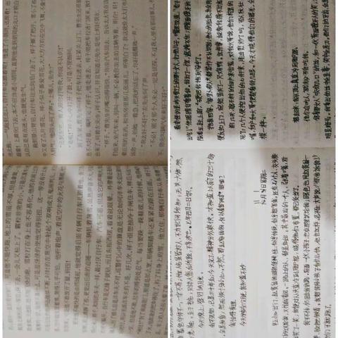 [肥乡区第四中学]七彩假期，你我同行