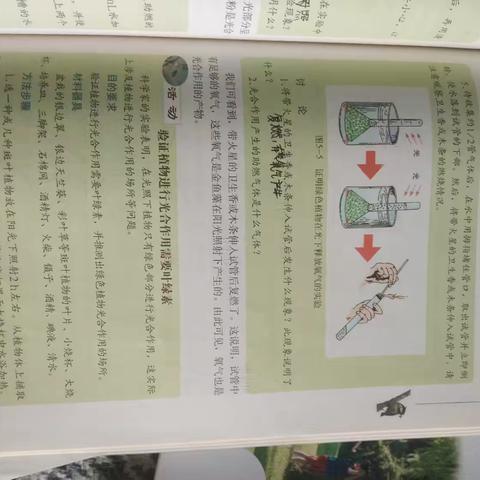 七上生物（2）