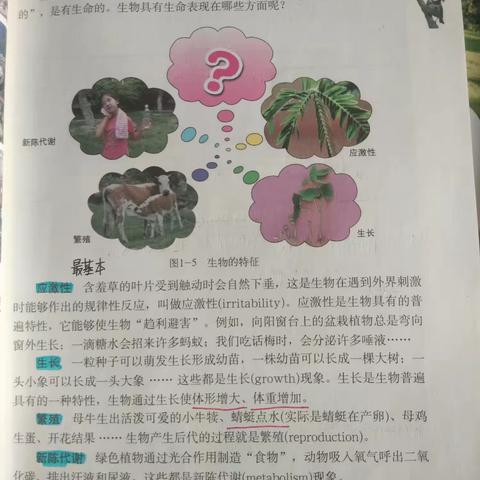 七上生物（1）