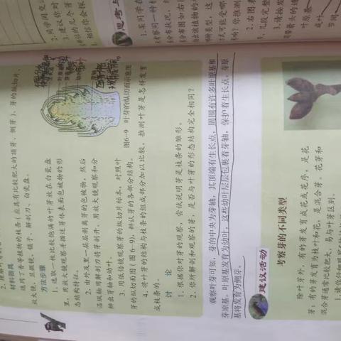 &的简篇