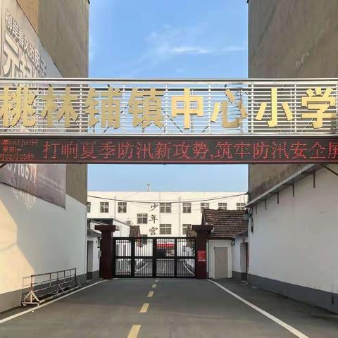 桃林铺镇中心小学一年级新生入学活动