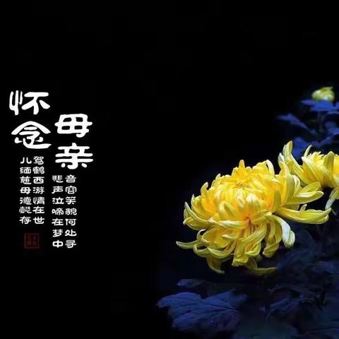 怀念母亲—苑凤奎