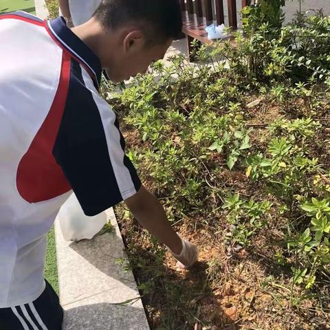 【青年志愿者】无私奉献，不求回报