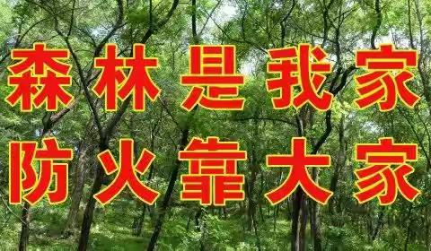 森林草原消防队护林防火动态