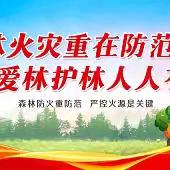 森林草原消防队护林防火动态