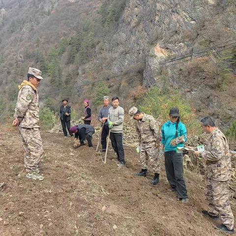 森林草原消防队护林防火工作动态