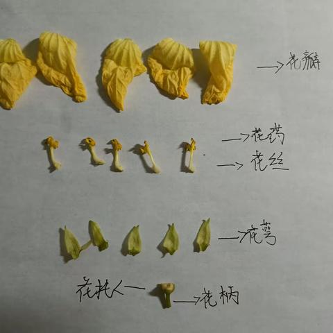 赏心只需两三枝/闭门种菜英雄事