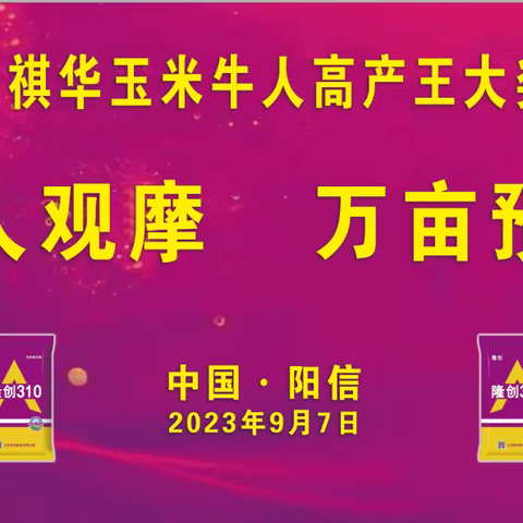 23-24年度隆创祺华玉米牛人高产王大奖赛-阳信站