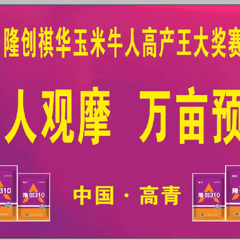 23-24年度隆创祺华玉米牛人高产王大奖赛-高青站