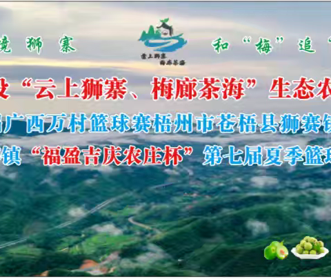 2024年苍梧县狮寨镇第七夏季篮球联赛福盈吉庆农庄杯活动精彩——回顾