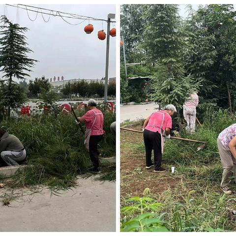 提升人居环境  共建美丽社区