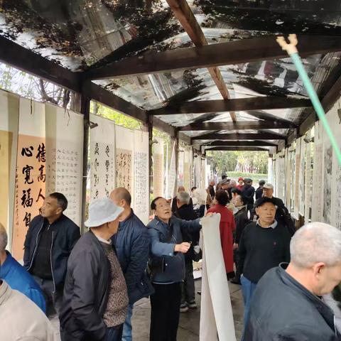 万盛 别开生面过重阳