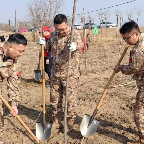 【四型机关建设】“迷彩色”为沙河添新绿——沙河市民兵训练基地植树节在行动