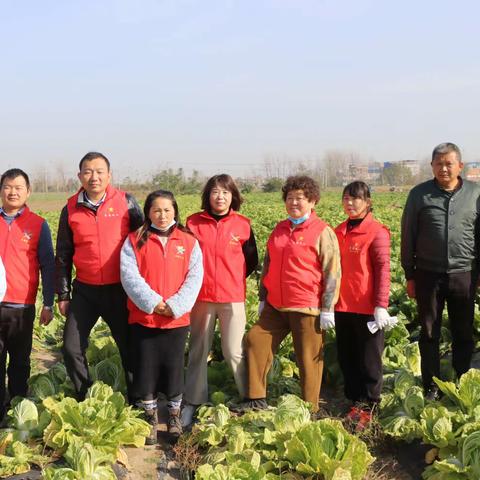 @所有人  户外活动公告：         为增强协会内部凝聚力，加强会员之间的沟通交流，努力培育协作向上的团队精神，阜南义工协会定于本周六开展户外收地瓜活动，请大家积极参加。 活动时间11月18日（