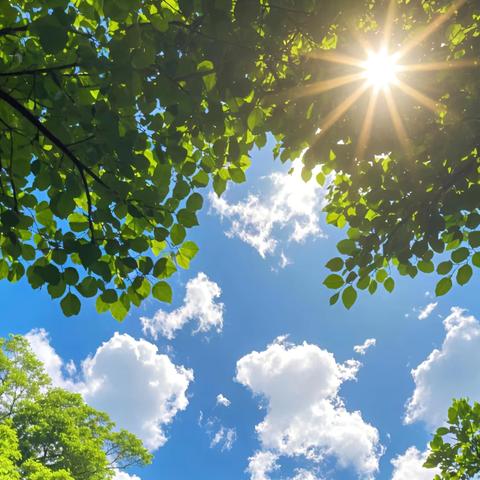 2023级12班暑期家访：盛夏里的成长对话