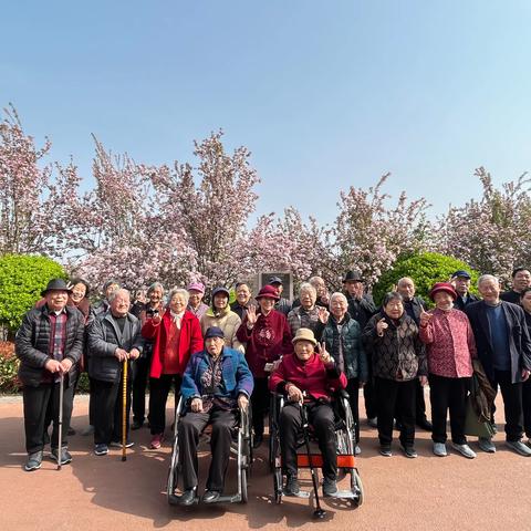 曹县康健医养组织春日踏青活动，尽享和谐自然时光