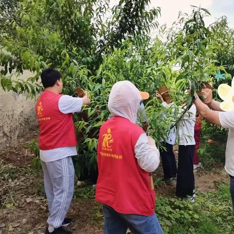 心手相连，共绘丰收——曹县精康融合服务团队助力精障患者田园劳作