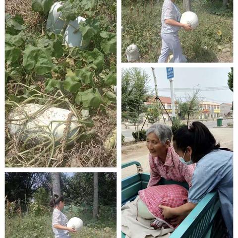 关爱老人，从点滴做起