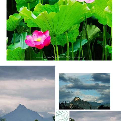 旺财物业高山流水小区2025年7月物业工作纪实