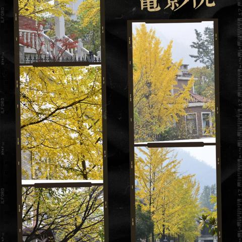 旺财物业高山流水小区2025年11月物业工作纪实