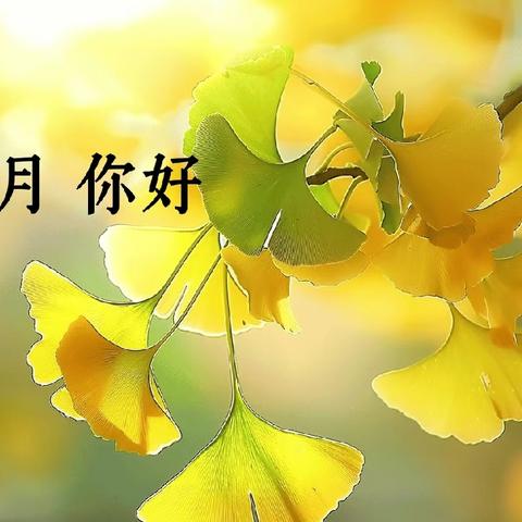不负时光，不负秋 【迪乐幼儿园中班9月份各项活动总结】