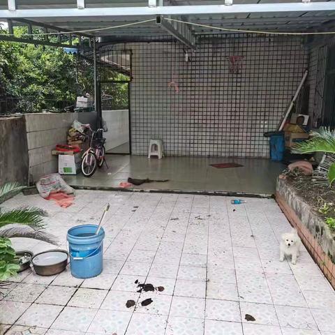 ✨百坡中学旁，3楼128㎡三室二厅一卫前后平台花园130㎡，售价：33.8万V61021