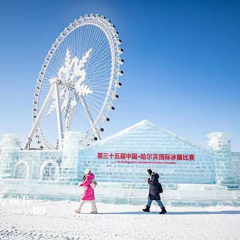 2024年1月6-8日哈尔滨三日游