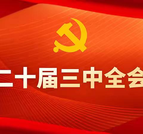 贯彻党的二十届三中全会精神 书写学校品牌特色发展新篇章 ——太原市第五十一中学校党支部开展八月主题党日活动简讯
