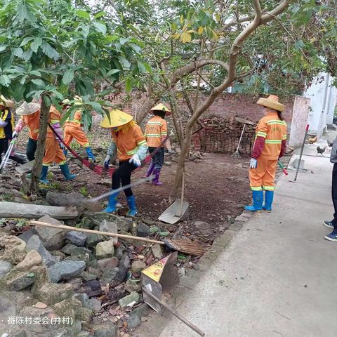 番陈村开展人居环境卫生整治，提高村民生活品质