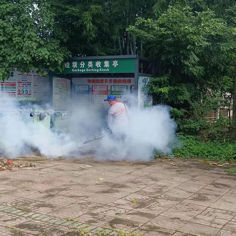 东成镇番陈村委会开展防蚊灭蚊整治